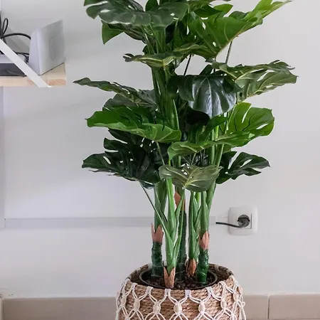 Atlantic Garden Beach&surf 165 Apartment Corralejo